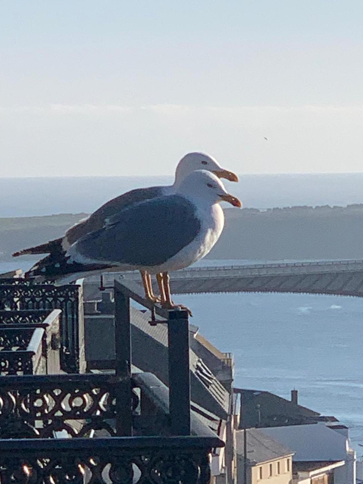 Moderno Piso Con La Mejor Terraza De Ribadeo Y Vistas Maravillosas 外观 照片
